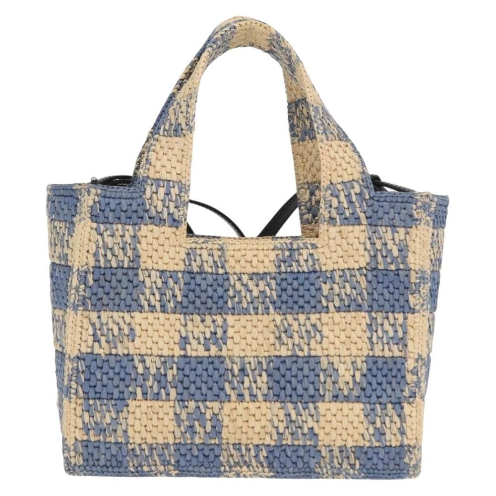 Loewe Raffia Handbag Light Blue